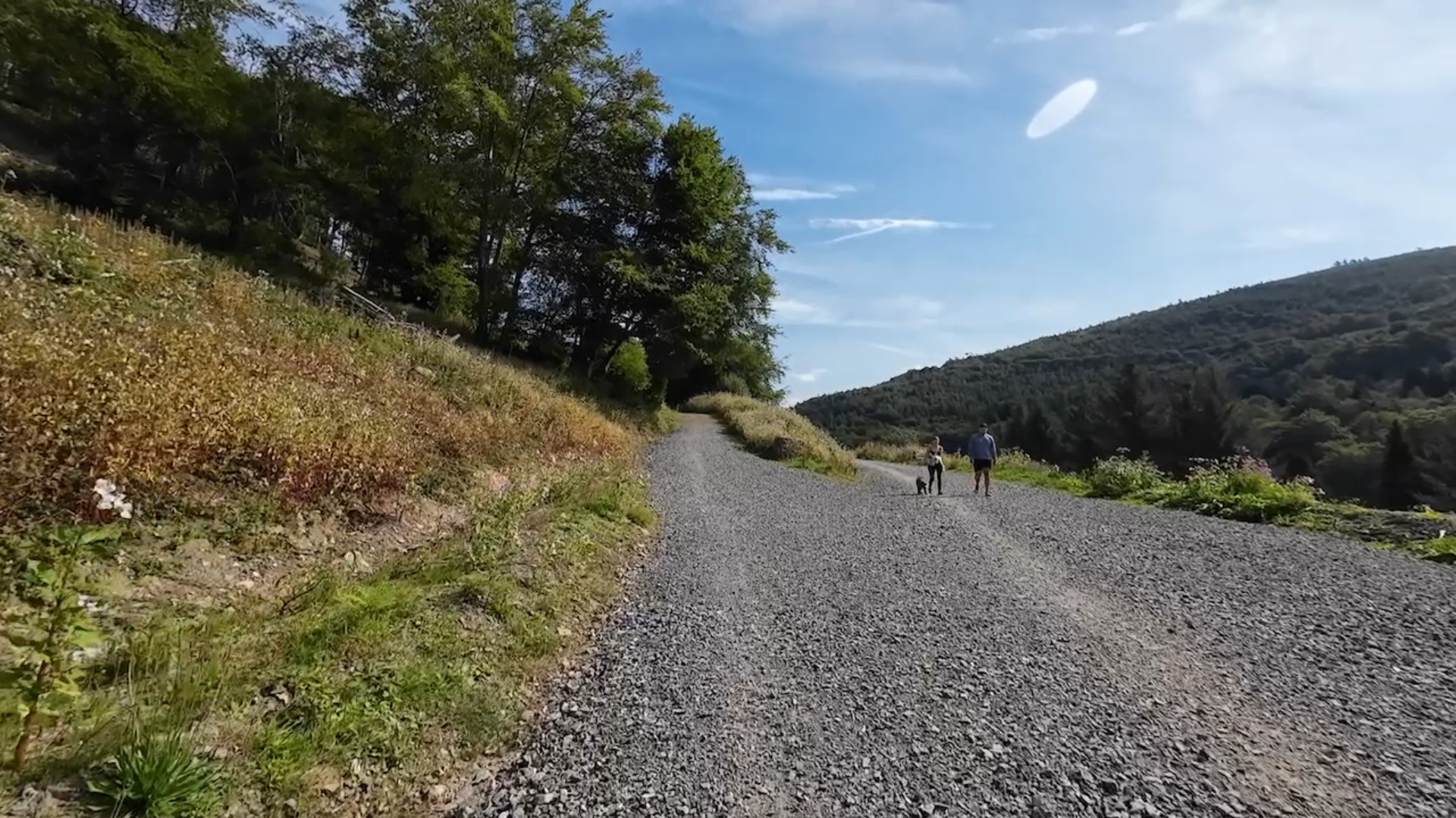 Path splits not far out of Rhyslyn