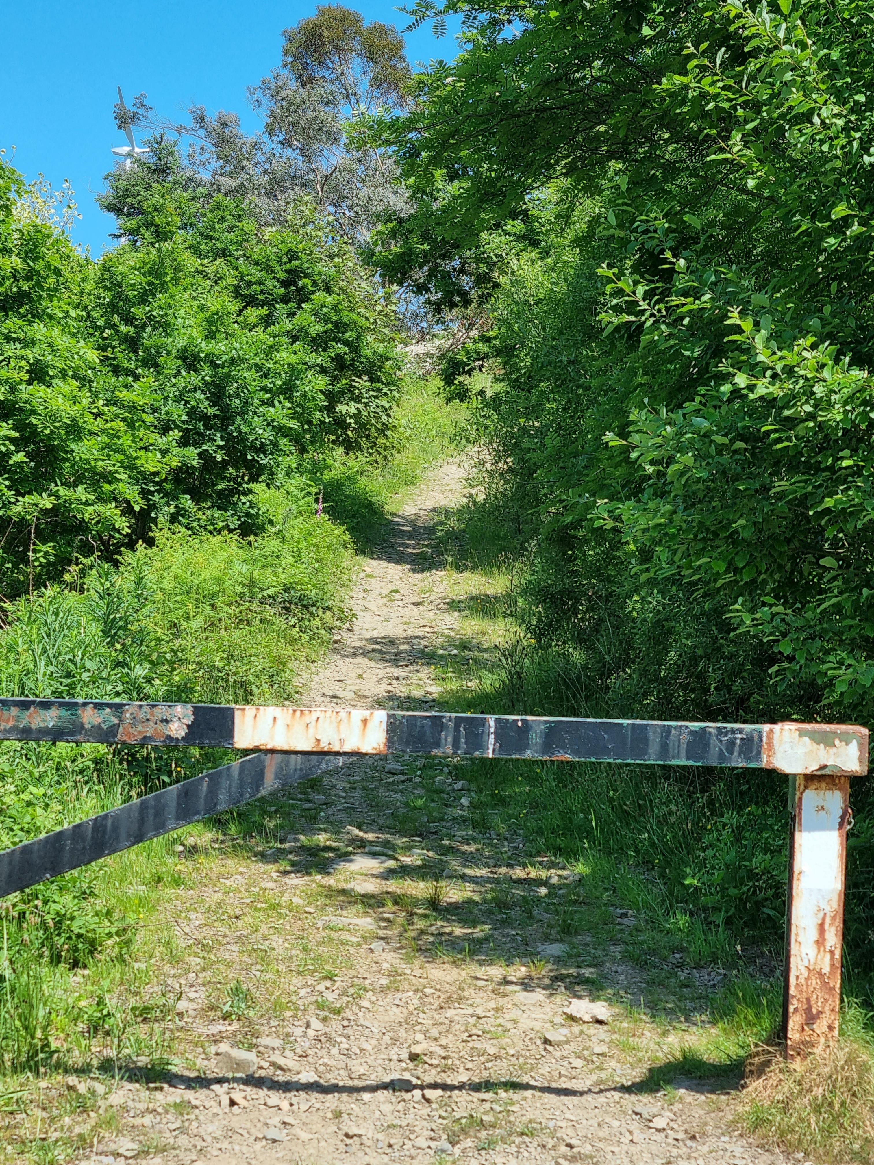 Tempting But Rough Forestry Entrance At Abercregan Real One To The Right